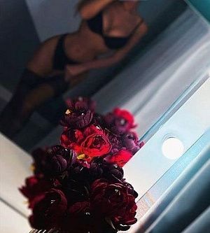 Айка не салон, Шатенки - фото